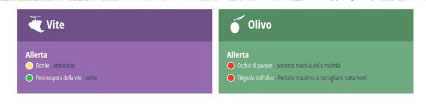 allerta
