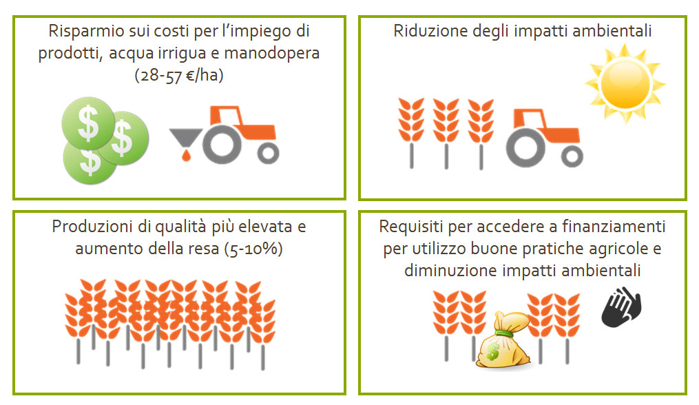 ciclo
