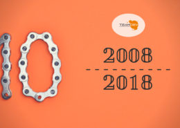 dieci anni di TeamDev