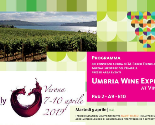 TeamDev al Vinitaly 2019
