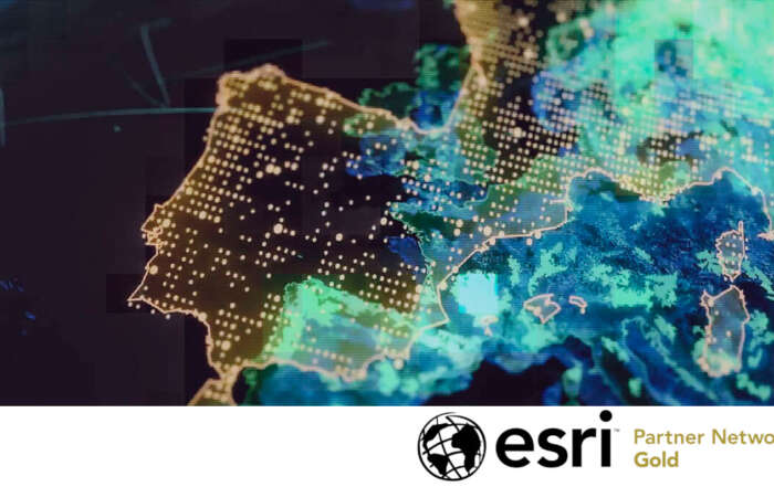 Gold Esri Partner