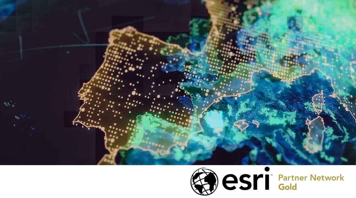 Gold Esri Partner