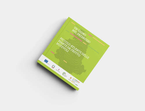 L’innovazione GIS al servizio della memoria verde: i dati come chiave per conoscere e tutelare il paesaggio umbro 